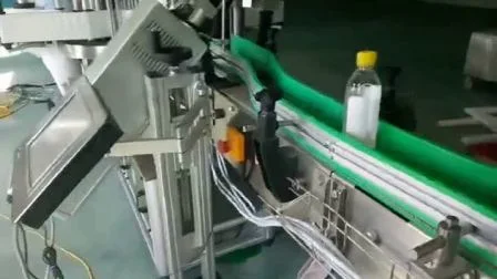 Imprimante laser de machine de marquage laser Leadjet CO2 pour bouteilles en plastique